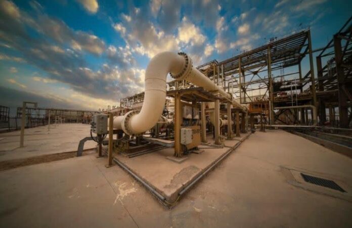 IMG_20251028_194537_351